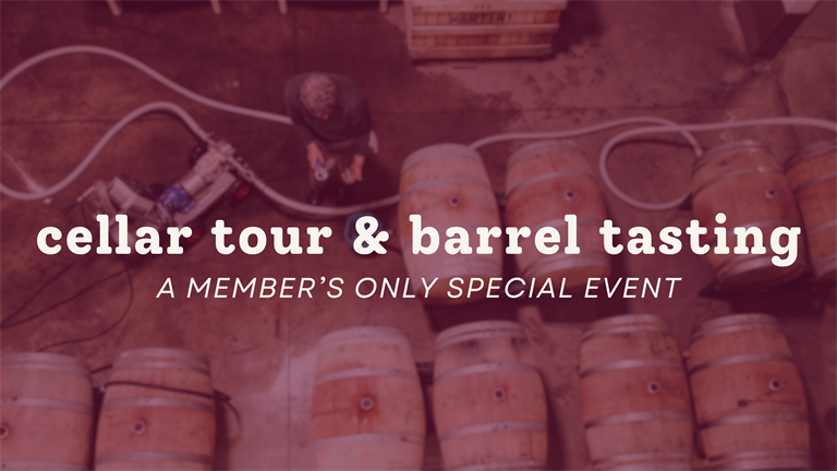 Wine Club Exclusive: Cellar Tour & Barrel Tasting