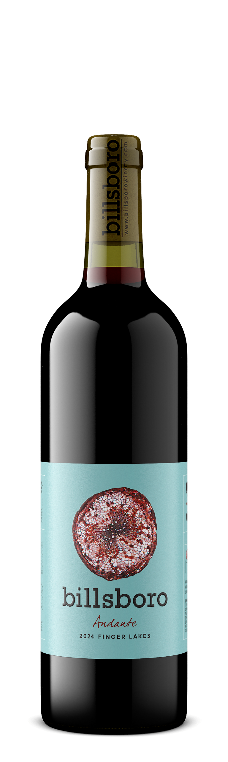 2024 Andante