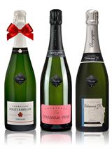 Champagne 3 pack
