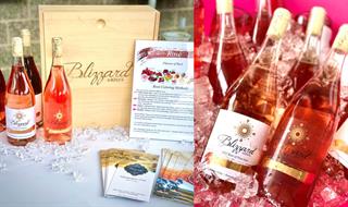Blizzard Wines at Pink!