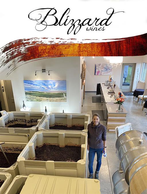 Harvest Tasting Class: Vine to Bottle