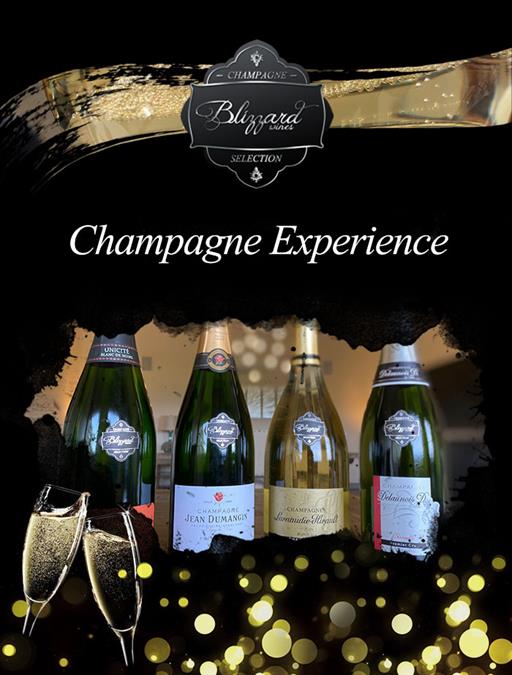 Champagne & Food Pairing Experience