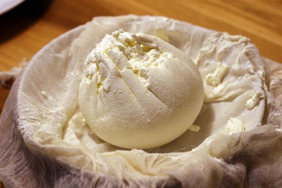 Cheese Making Workshop