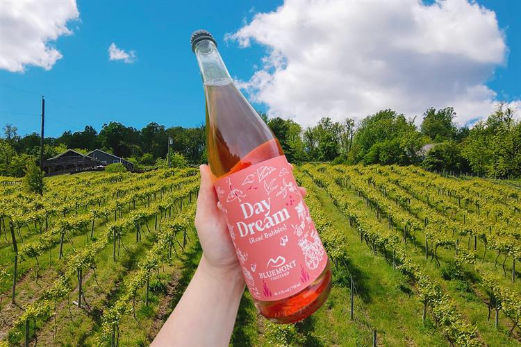 Day Dream Rosé Bubbles