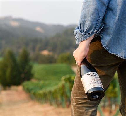 2019 Boars' View BDR Pinot Noir