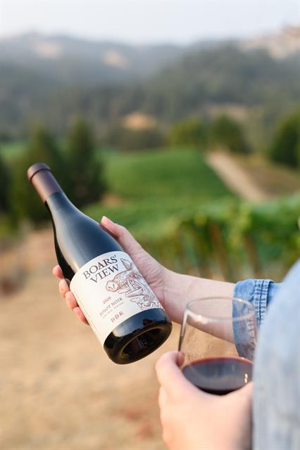 2023 Boars' View BDR Pinot Noir - 3PK