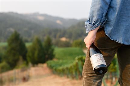 2023 Boars' View BDR Pinot Noir - 6PK