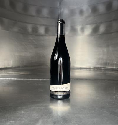 Pinot Noir 2023