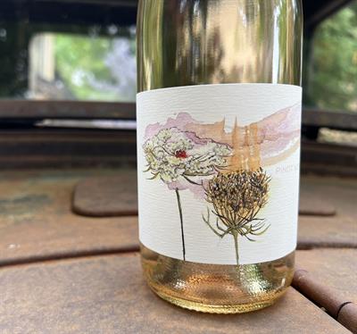 Pinot Noir Rose 2025