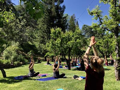 Wine + yoga = WOGA!