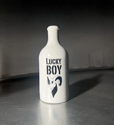 Lucky Boy 2024