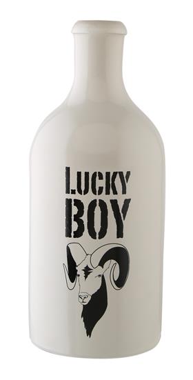 Lucky Boy 2024