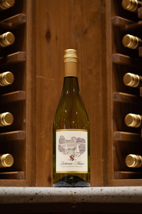 2024 Sauvignon Blanc