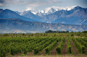Friday Flights - Argentinian Wines
