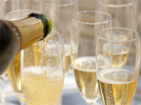 Sparkling Wine 101