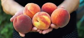 Peach Perfect Package