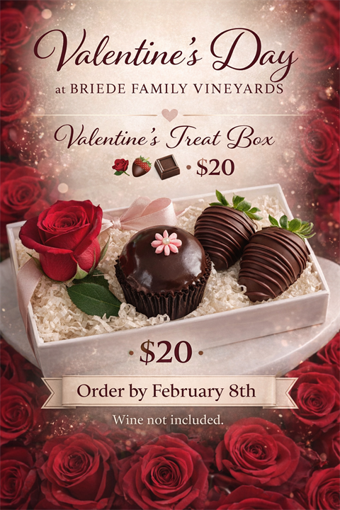 Valentines Day Treat Box 2026
