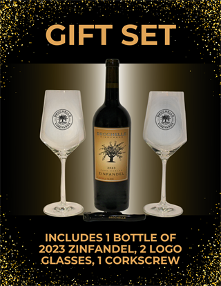 BLACK FRIDAY - GIFT SET