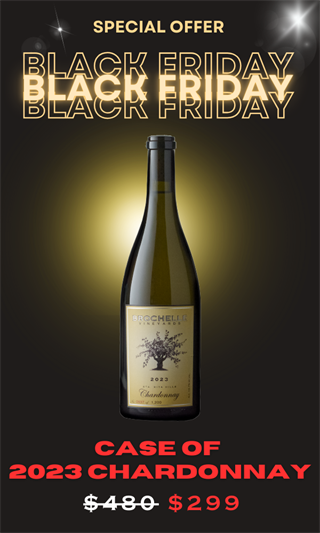 BLACK FRIDAY - 2023 Chardonnay - Case Special