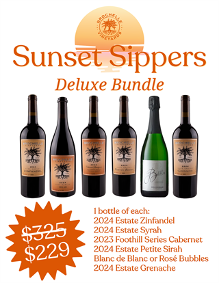 Sunset Sippers DELUXE Bundle