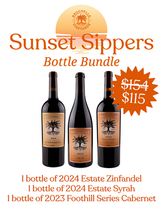 Sunset Sippers Bottle Bundle
