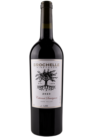 2023 Napa Valley Cabernet Sauvignon