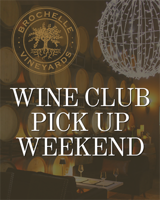 Fall Pick Up Party - Guest of Member