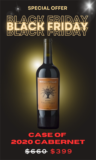 BLACK FRIDAY - 2020 Foothill Cabernet - Case Special