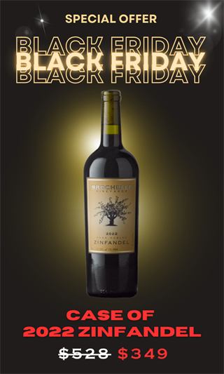 BLACK FRIDAY - 2022 Zinfandel - Case Special