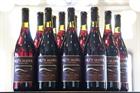 2020 Willamette Valley Pinot Noir Case Special