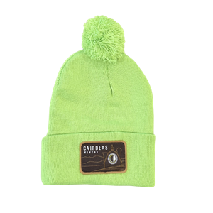 Neon Patch Beanie