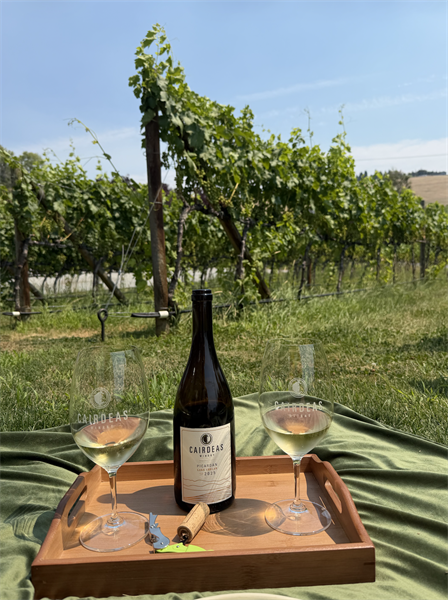 2026 WAugust Vineyard Tour with Lacey & Charlie