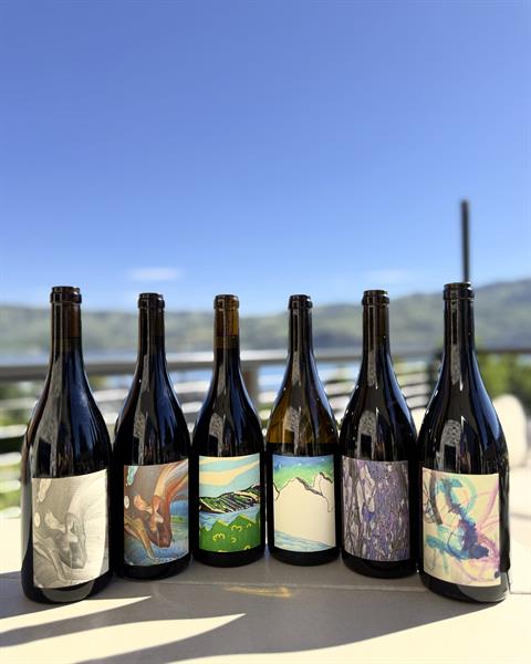 Syrah Master Class Bundle