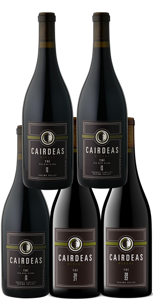 5 Year Trí Vertical