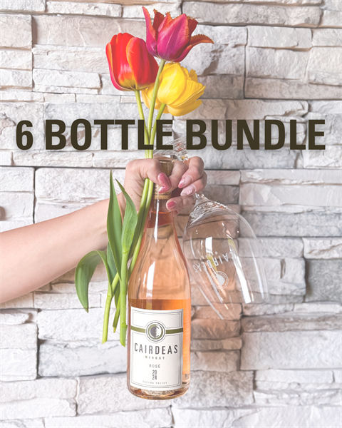 2024 Rosé Release 6 Bottle Bundle
