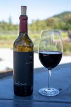 Wine Club Wing Social-July 25th