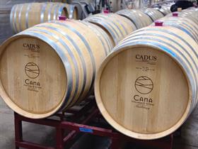 Winter 2025 Harvest Club Party: Guest Tickets