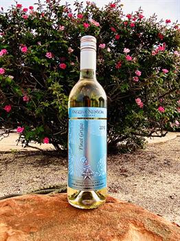 2019 Pinot Grigio
