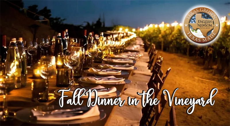 Fall Dinner in the Vineyard