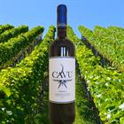 2023 Barbera