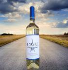 2024 SAUV BLANC