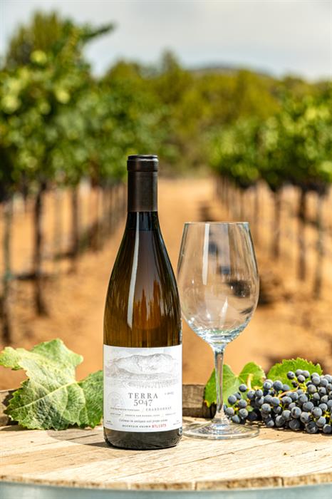 2024 Chardonnay