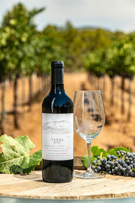 2023 Alessio Zinfandel Blend