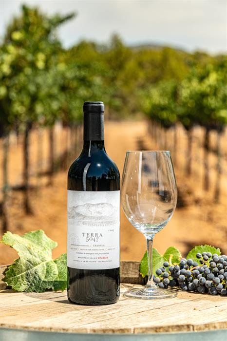 2024 Chanela Sangiovese Blend