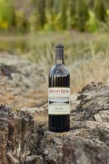 2021 Malbec - Estate Vineyard