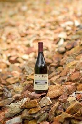 2020 Rouge Clair Pinot
