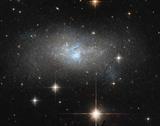 Stargazing at the Vineyard to benefit the Carlton Observatory Project