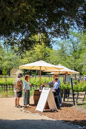 Spring Pickup Party for Cellar Club Members