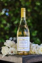 2024 Pinot Noir Blanc