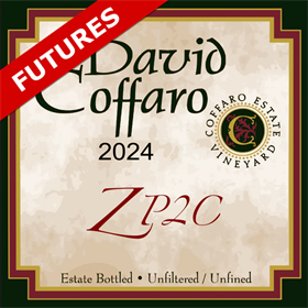 ZP2C Futures 2024 / Aged 16 Months